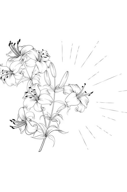 MARCOCCIA ORCHIDEA SENSUALE