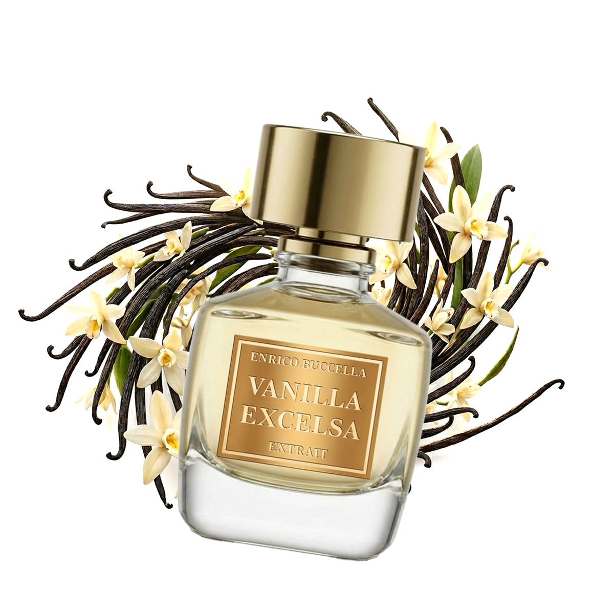 Cerchi Nell'Acqua VANILA EXCELSA | Profumo 50 ML – amyrisessenze