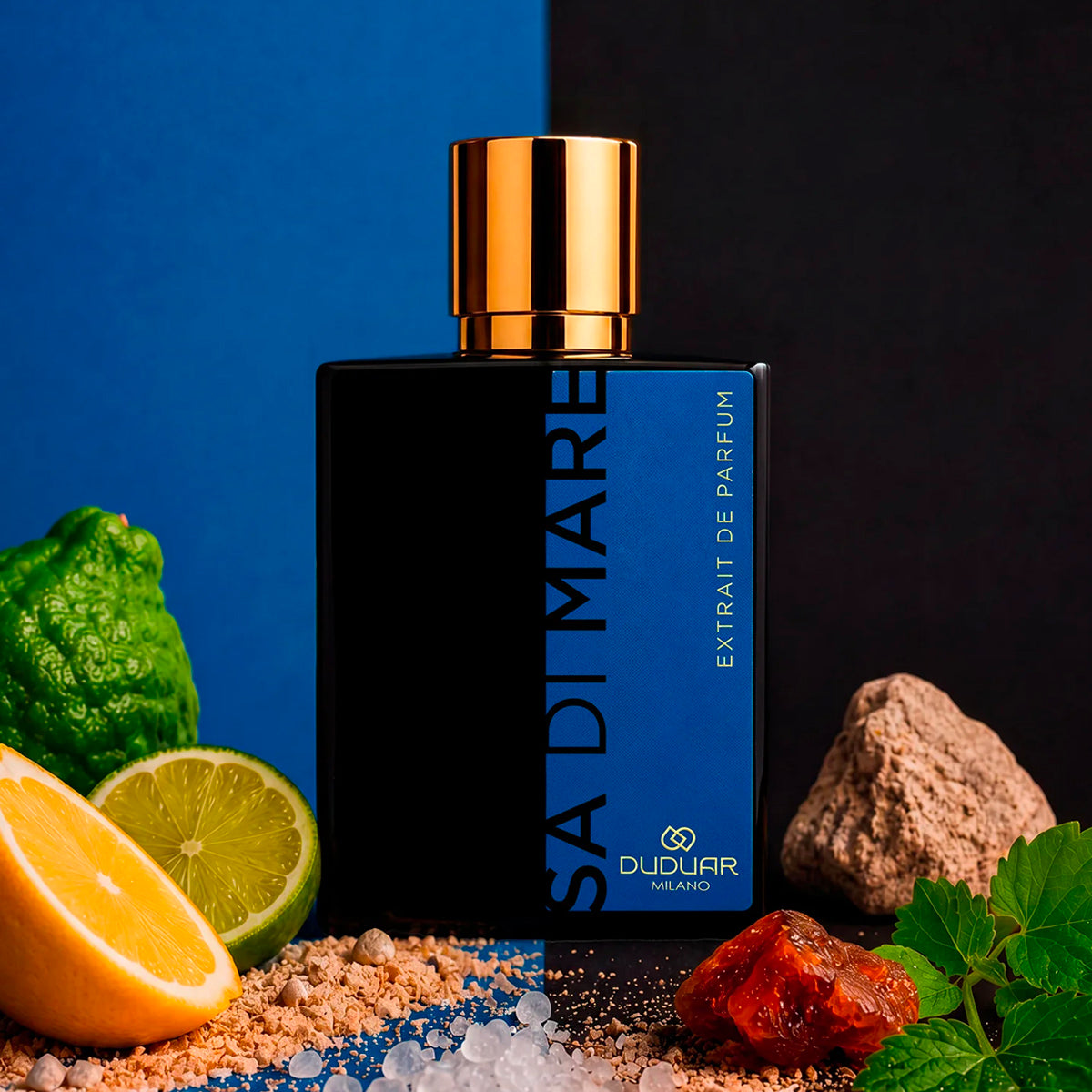 その他 :Buddy eau de parfum DUDUAR Sa di Mare – amyrisessenze