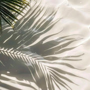 MALVA 1979 Tropical Latte