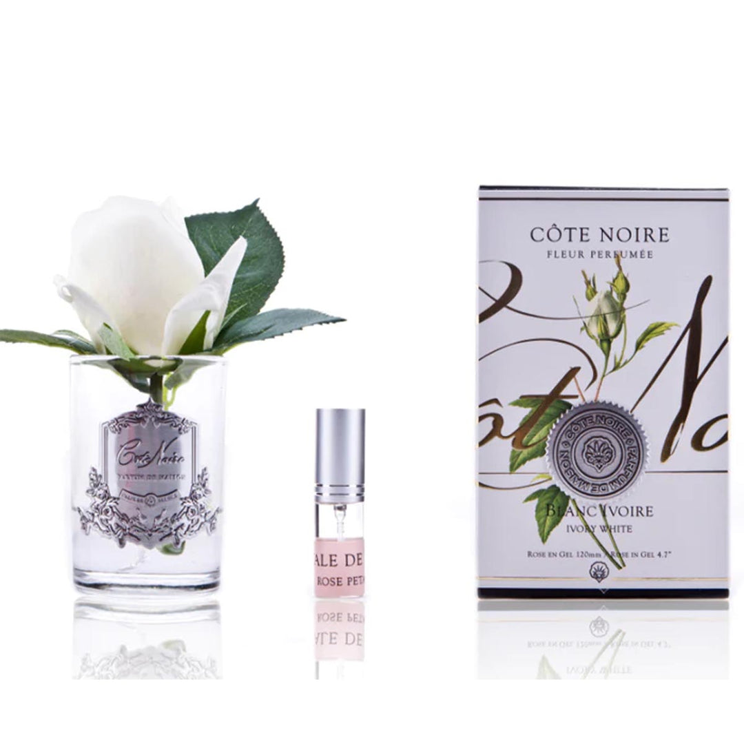 COTE NOIRE BOCCIOLO DI ROSA PROFUMATO - TRASPARENTE - BIANCO AVORIO