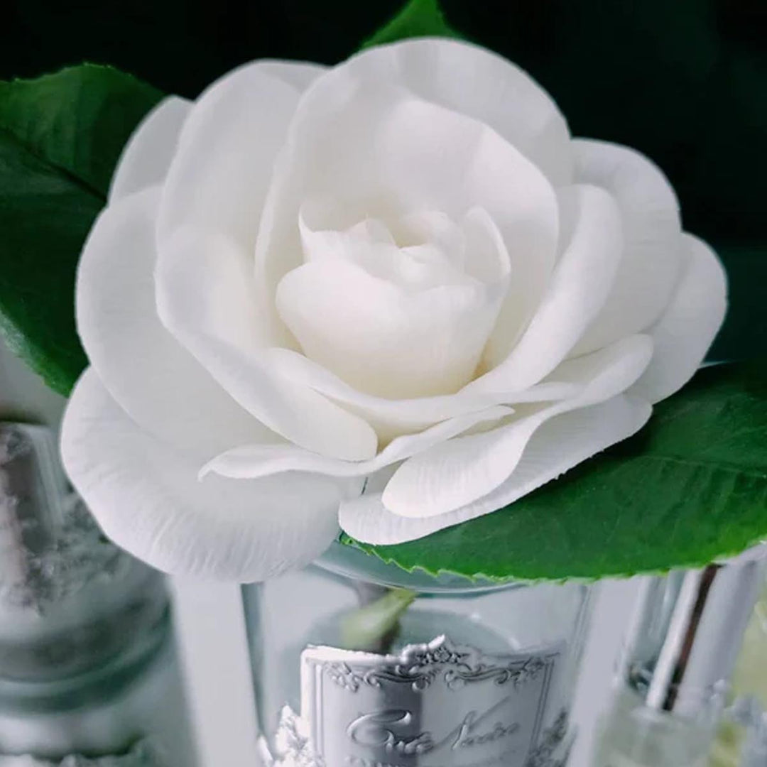 COTE NOIRE SCENTED FLOWERS - TRANSPARENT - GARDENIA