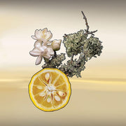 KEIKO MECHERI LES NUITS D'IZU 