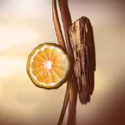 KEIKO MECHERI CUIR CORDOBA