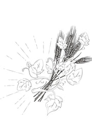 MARCOCCIA WILD FIELD