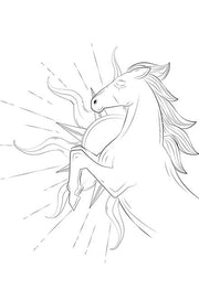 MARCOCCIA INDOMABILE