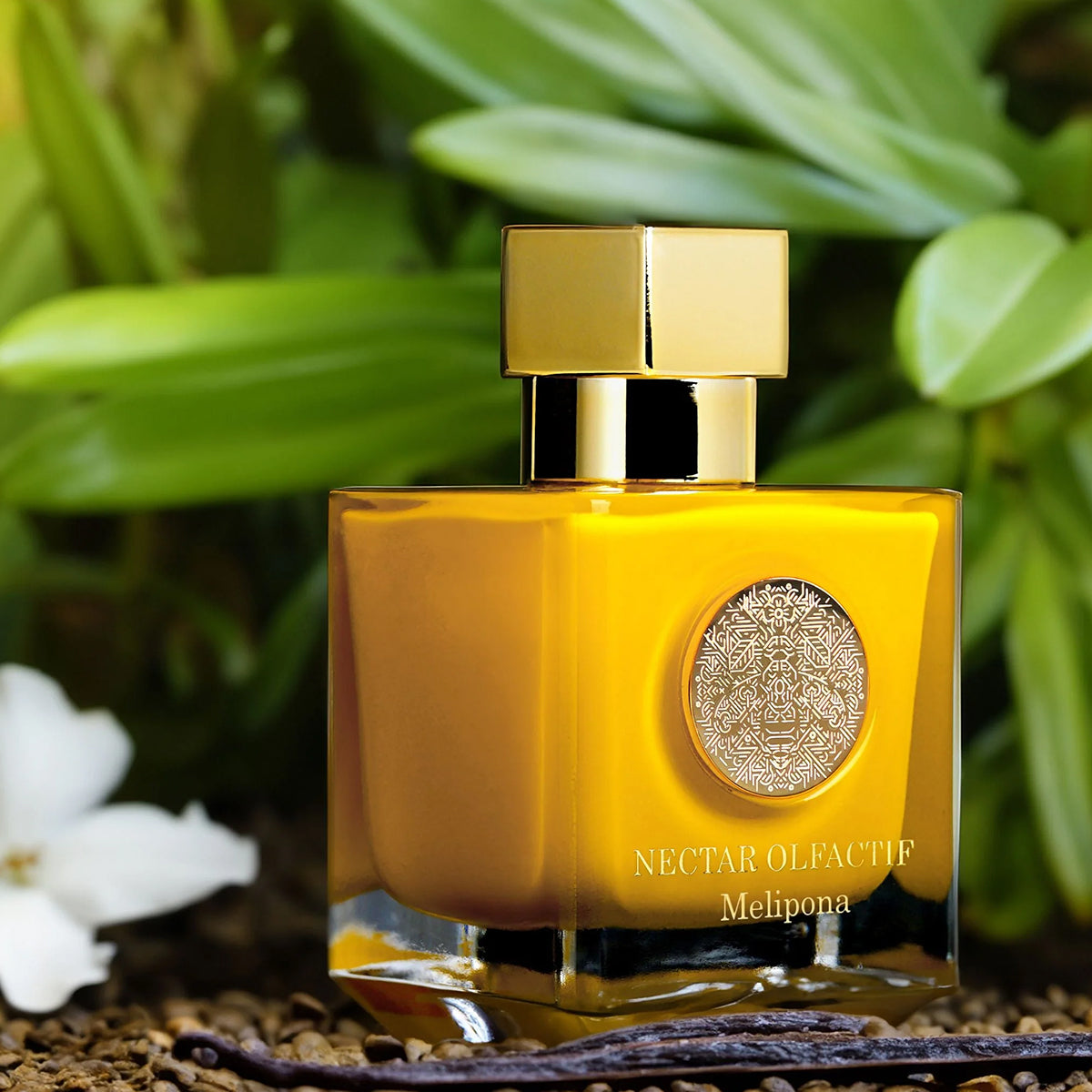 NECTAR OLFACTIF Suprême Nectar – amyrisessenze