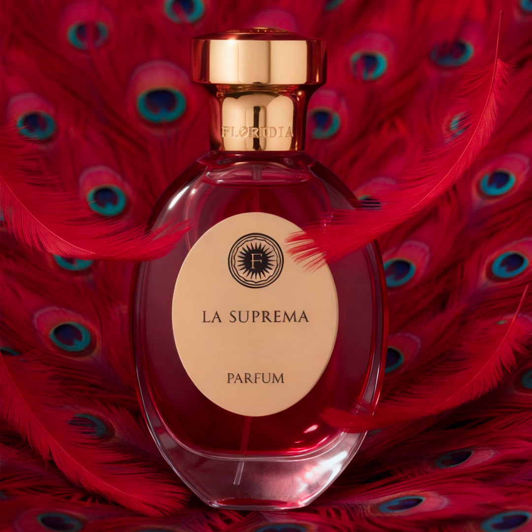 FLORIDIA La Suprema