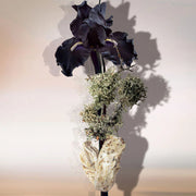 KEIKO MECHERI IRIS D'ARGENT