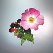 KEIKO MECHERI WILD BERRIES