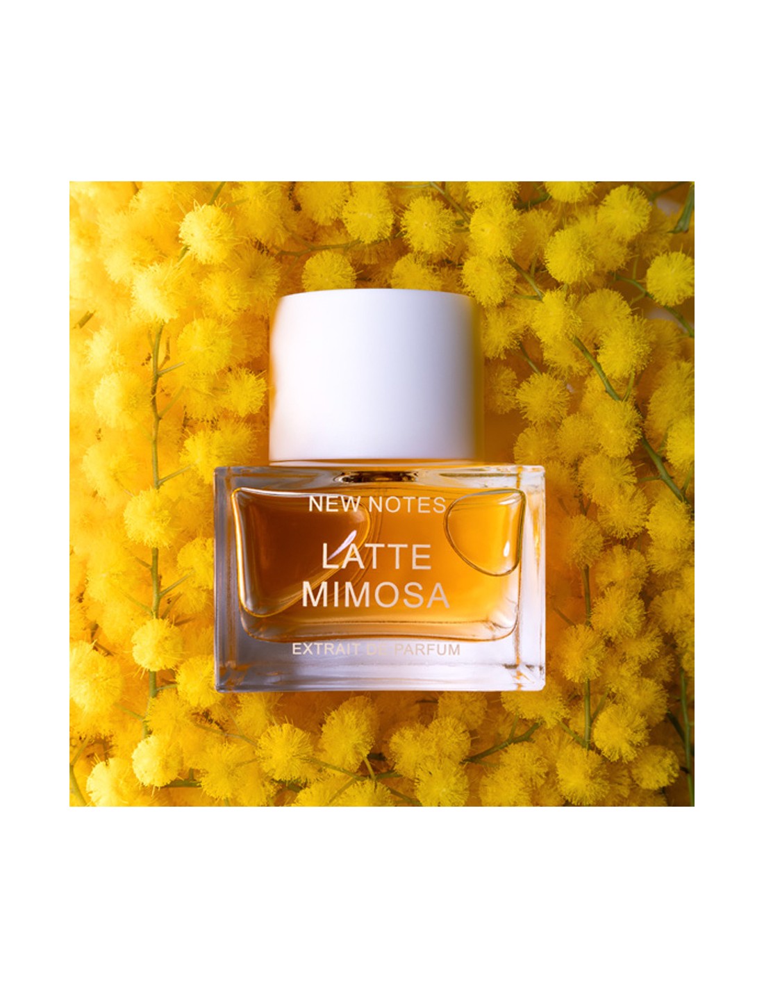 新作LatteMimosaNew Notes Latte Mimosa 50ml 香水