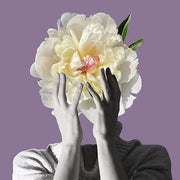 NEW NOTES OSMANTO SHOCK