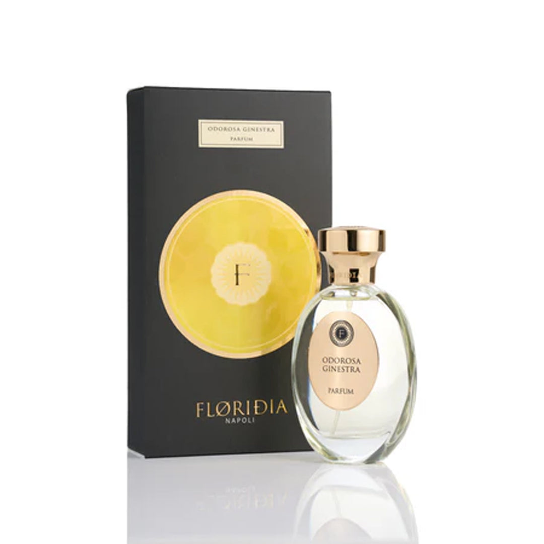 FLORIDIA Odorosa Ginestra