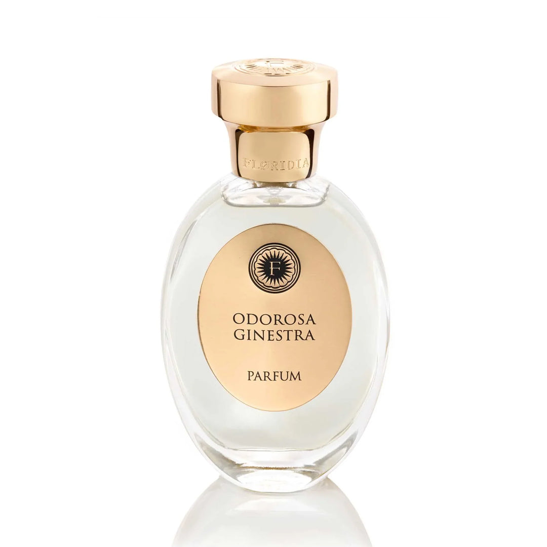 FLORIDIA Odorosa Ginestra