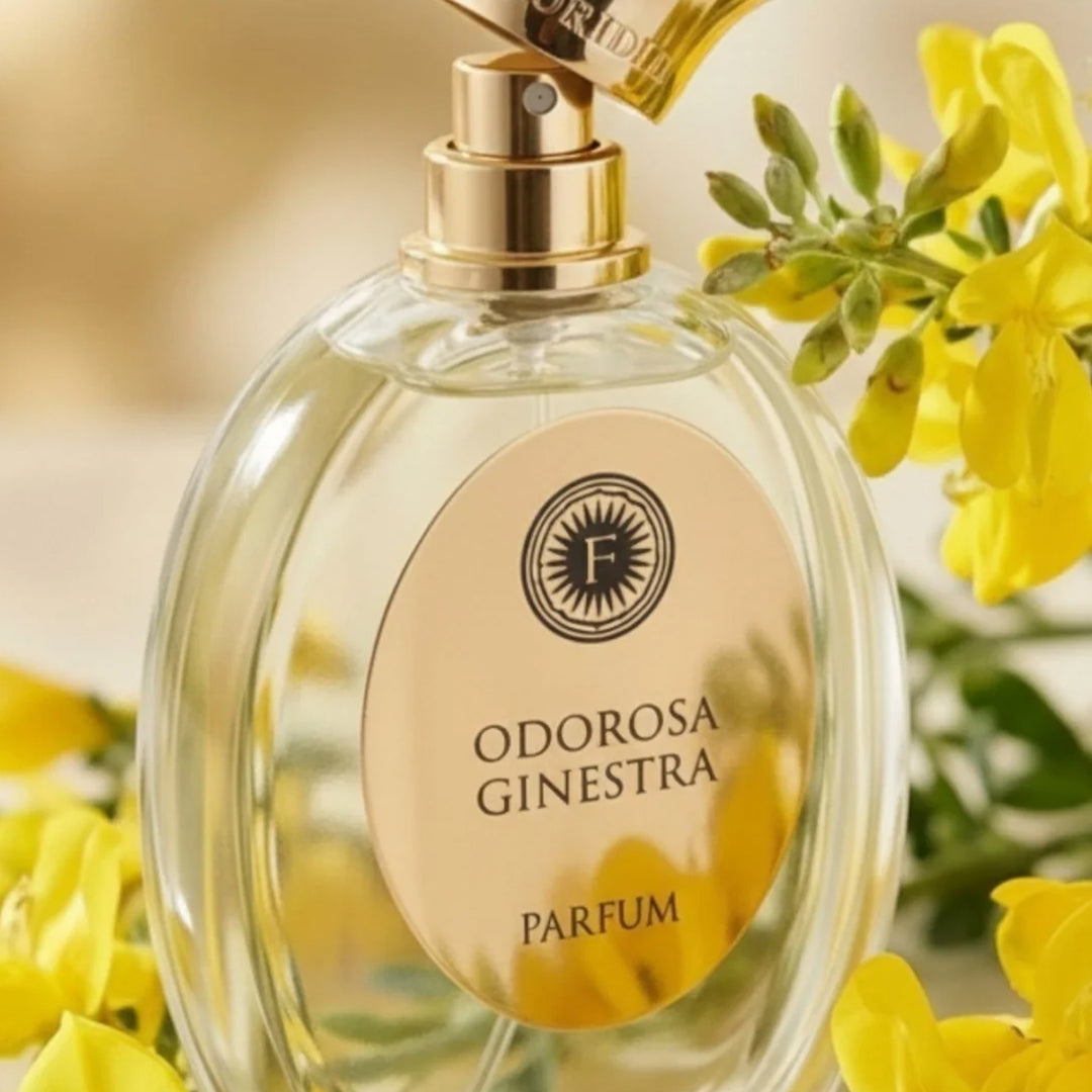 FLORIDIA Odorosa Ginestra