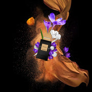 COQUILLETE PARIS OLAUNA