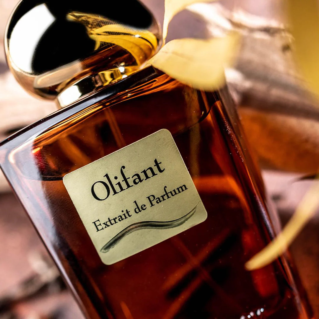 OLFATTOLOGY Olifant