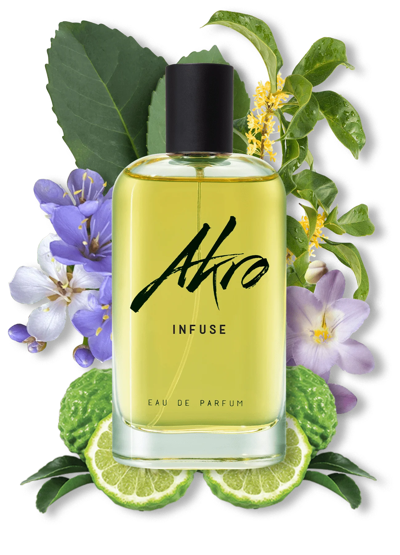 AKRO INFUSE