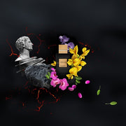 COQUILLET PARIS VESEVIUS