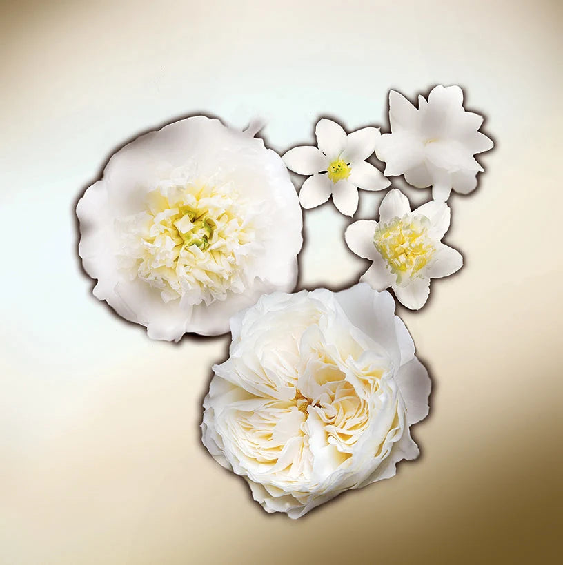 KEIKO MECHERI White Petals