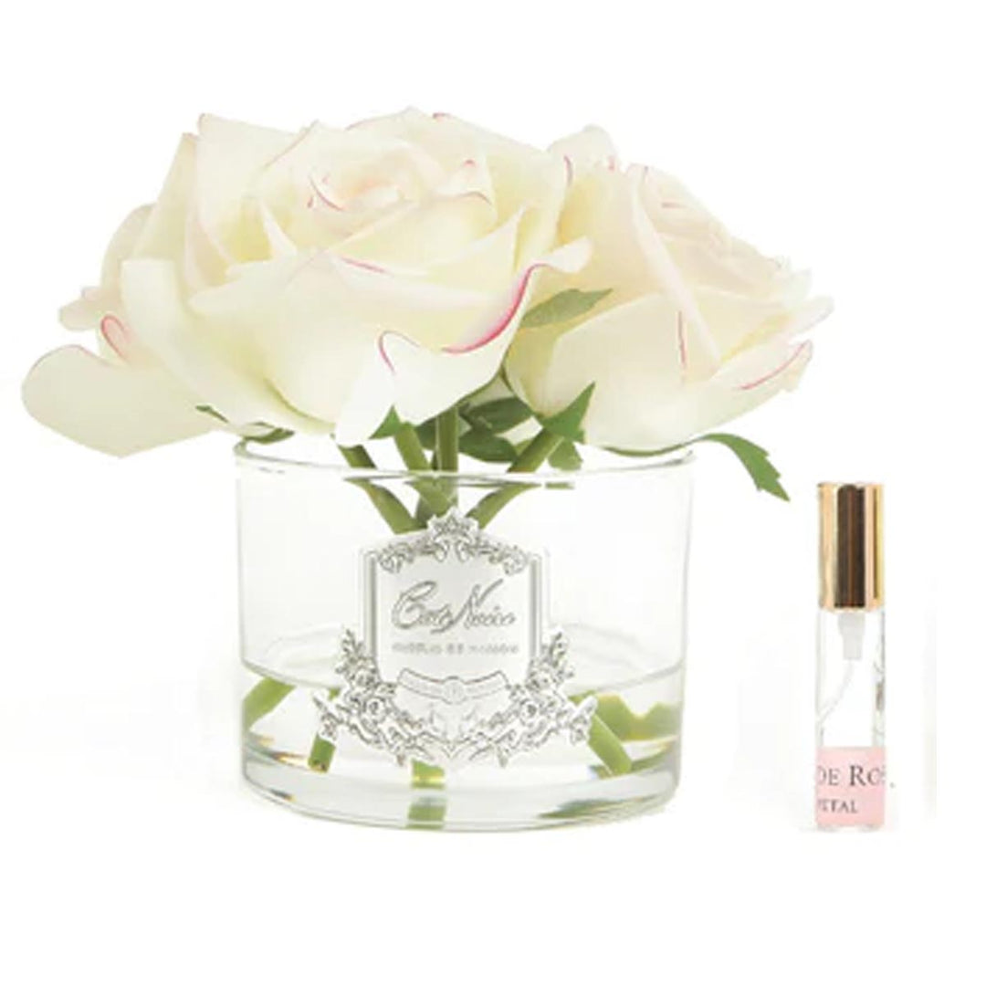 COTE NOIRE 5 ROSE PROFUMATE - TRASPARENTE - ROSA FARD