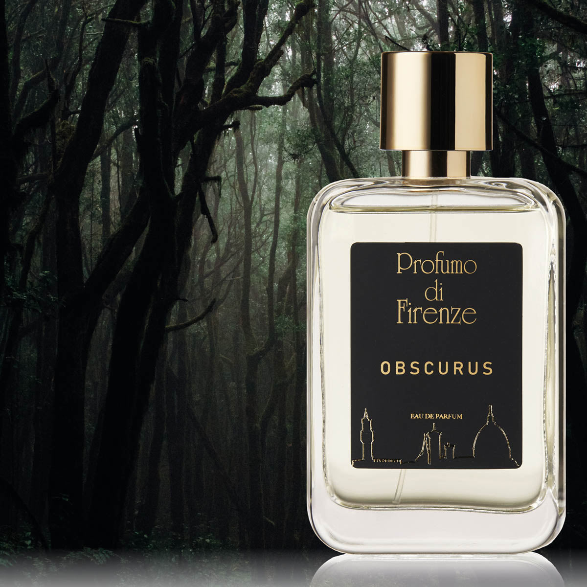 PROFUMO DI FIRENZE Obscurus - Dante Collection – amyrisessenze