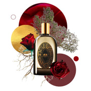 PHAEDON ROUGE AVIGNON