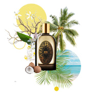 PHAEDON SABLE & SOLEIL 