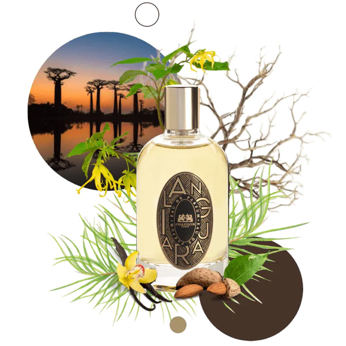 tobacco rouge phaedon Tabac Rouge, Avignon & Pure Azure musk and amber Phaedon Red Tobacco - Amaru