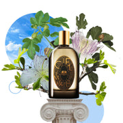 PHAEDON CIEL IMMOBILE