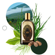 PHAEDON BLACK VETIVER