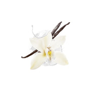 MALANOTTE VANILLA BRÛLÉE