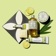 BENAMÔR ALANTOÍNE PROTECTIVE HAND CREAM